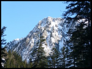 P1020326